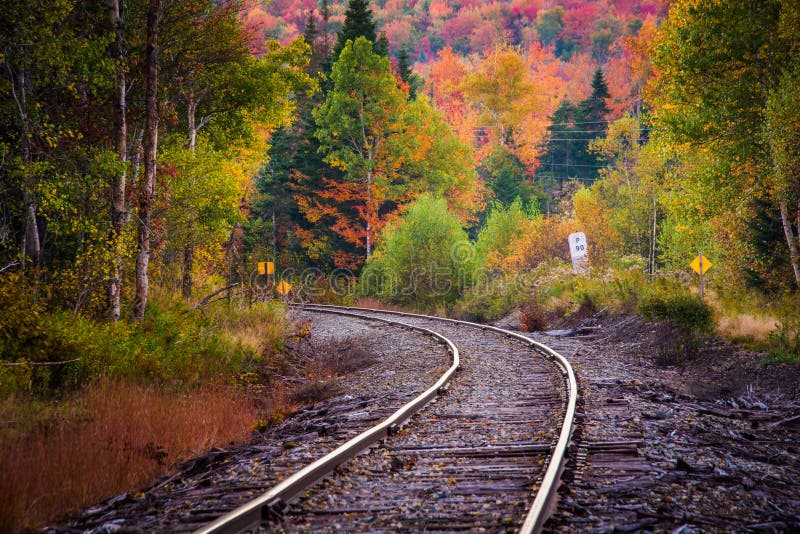 Herbstfarbe entlang einer Bahnstrecke in weißem Berg nationales F lizenzfreies stockbild Herbstfarbe entlang einer Bahnstrecke in weißem Berg nationales F lizenzfreies stockbild