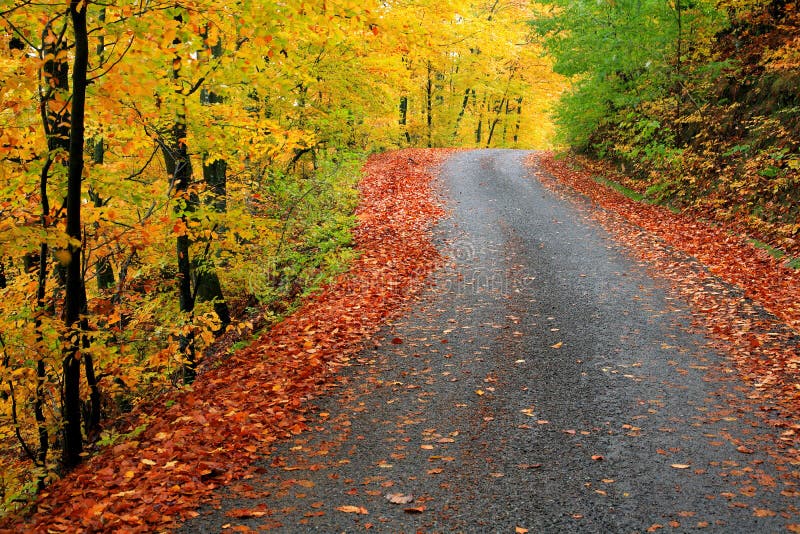 Herbstfarben stockbilder