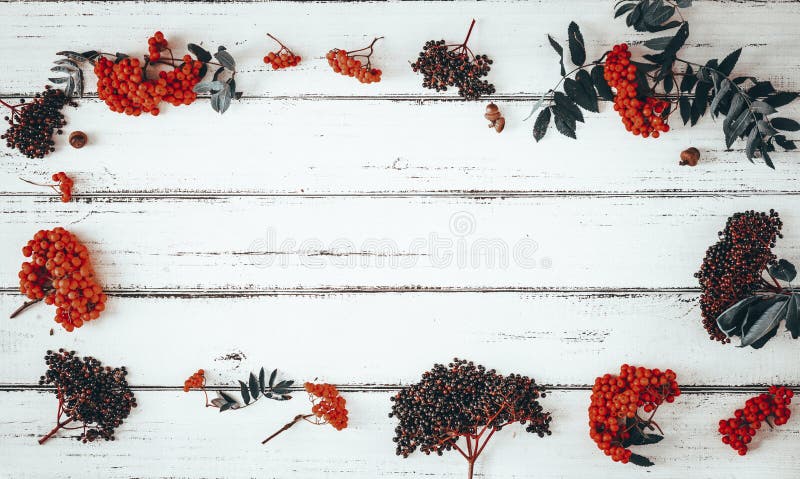 Herbstfrucht auf weißem Bretterboden mit Platz für Text. Herbstfrucht auf weißem Bretterboden mit Platz für die Aufschrift
