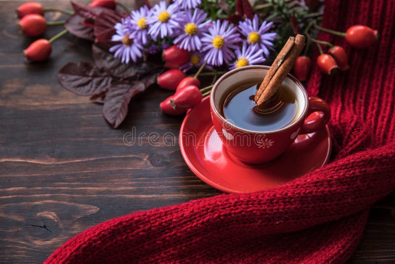 Herbsthintergrund mit Tasse Tee lizenzfreies stockbild Herbsthintergrund mit Tasse Tee lizenzfreies stockbild