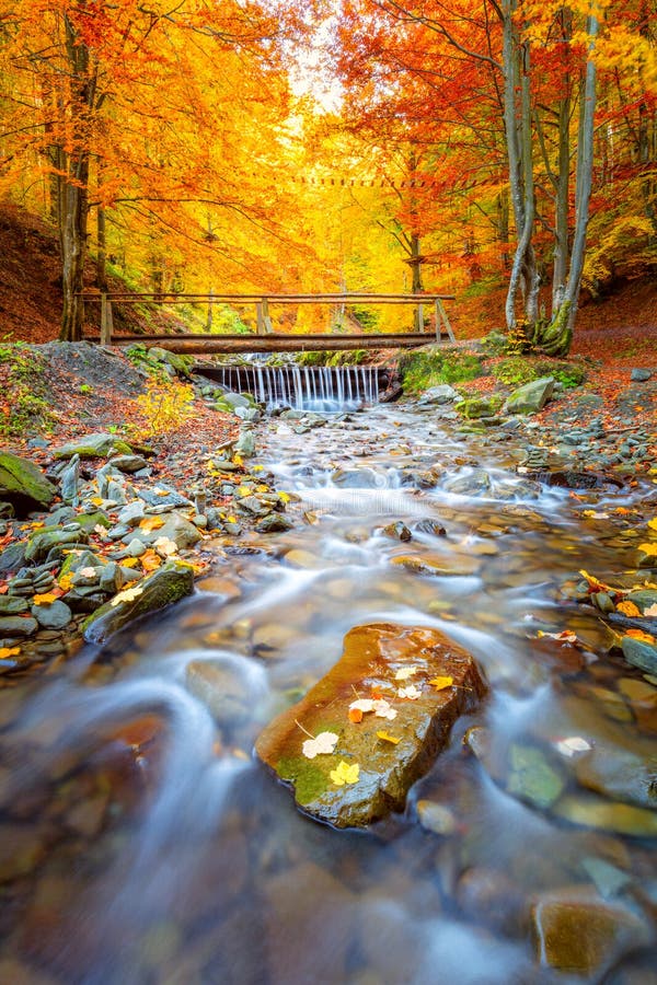 Herbstlandschaft - Alte Holzbrücke im bunten Herbstwaldpark mit gelben Blättern den Wasserfall der Flüsse lizenzfreie stockfotografie