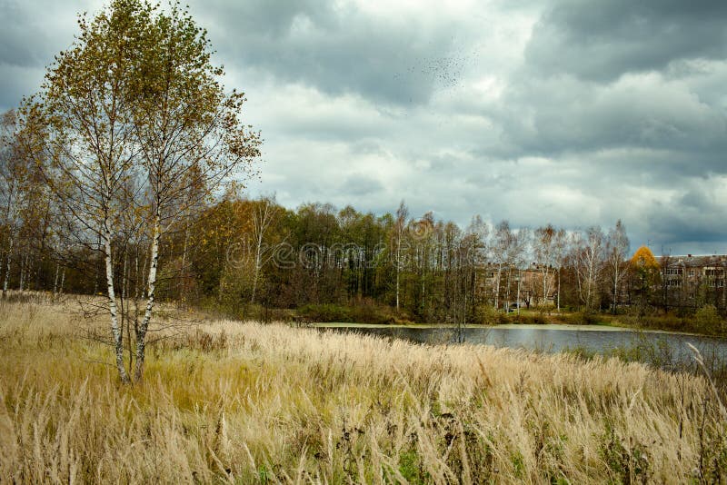 Herbstlandschaft mit schwerem Himmel lizenzfreies stockfoto Herbstlandschaft mit schwerem Himmel lizenzfreies stockfoto