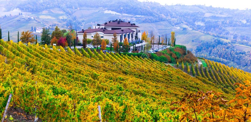 Herbstlandschaft Mit Weinbergen In Piemont Italien Stockbild - Bild von ...