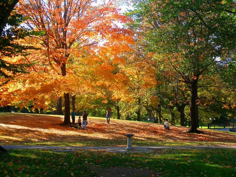 Herbstlicher Park