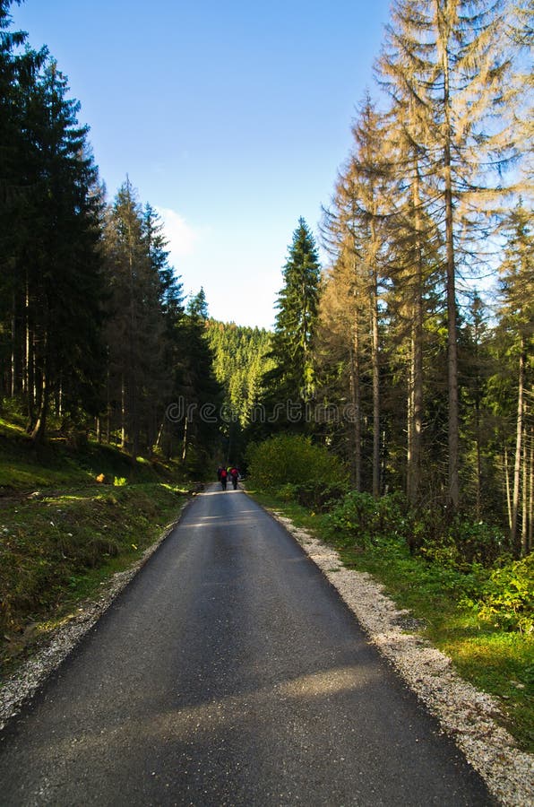 Herbstmorgen auf Trekkingsweg an Radocelo-Berg stockfotos Herbstmorgen auf Trekkingsweg an Radocelo-Berg stockfotos
