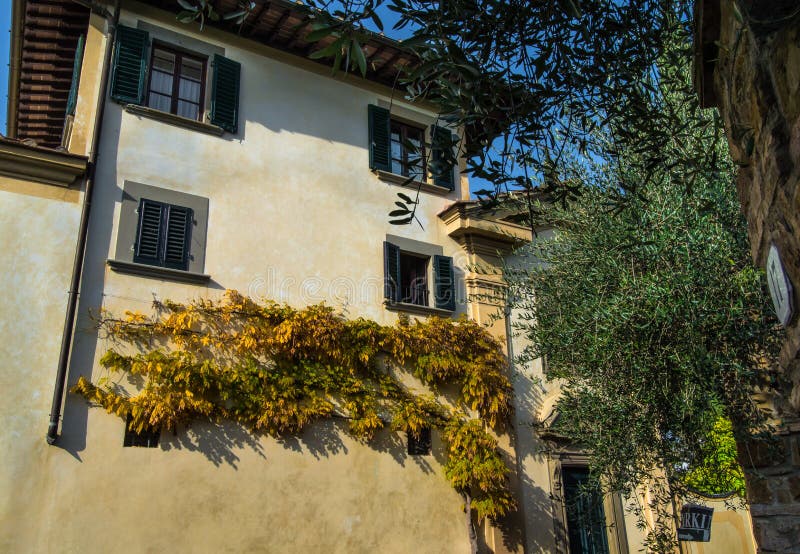 Herbstniederlassungen auf einer Hausfassade stockbild Herbstniederlassungen auf einer Hausfassade stockbild