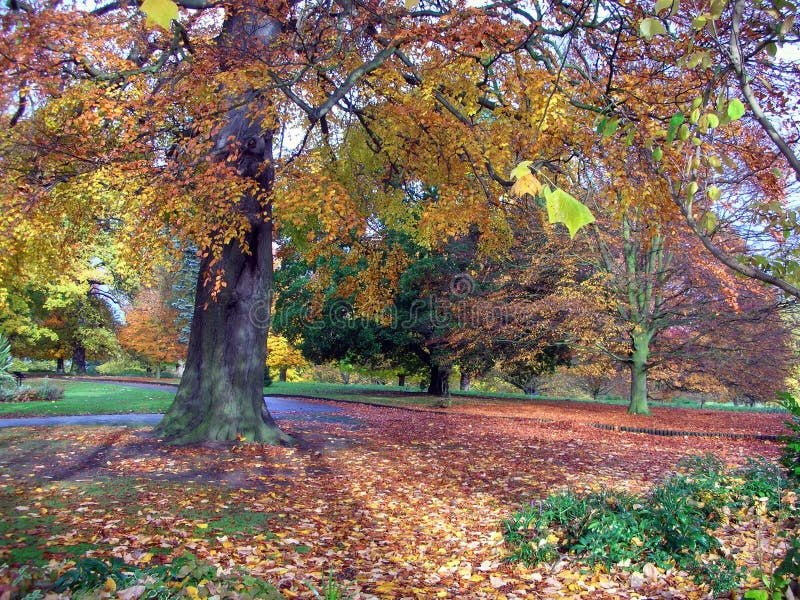 A park in Nottingham in autumn. England. A park in Nottingham in autumn. England.