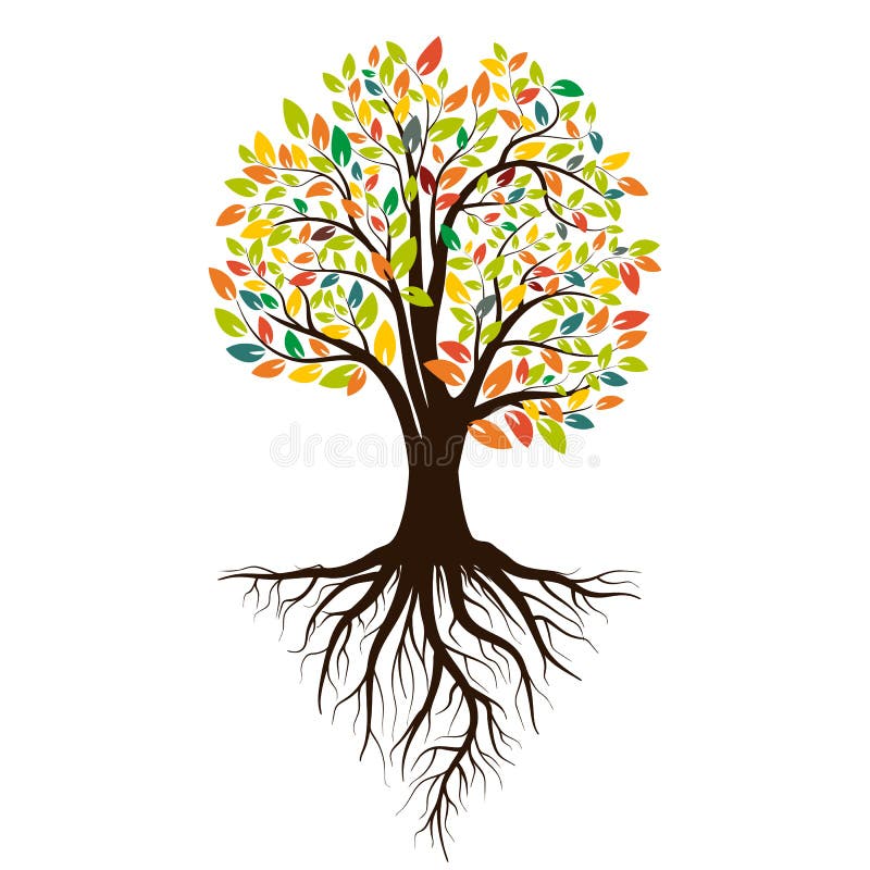 Herbstschattenbild eines Baums mit farbigen Blättern Baum mit Wurzeln Getrennt auf weißem Hintergrund Vektor stock abbildung