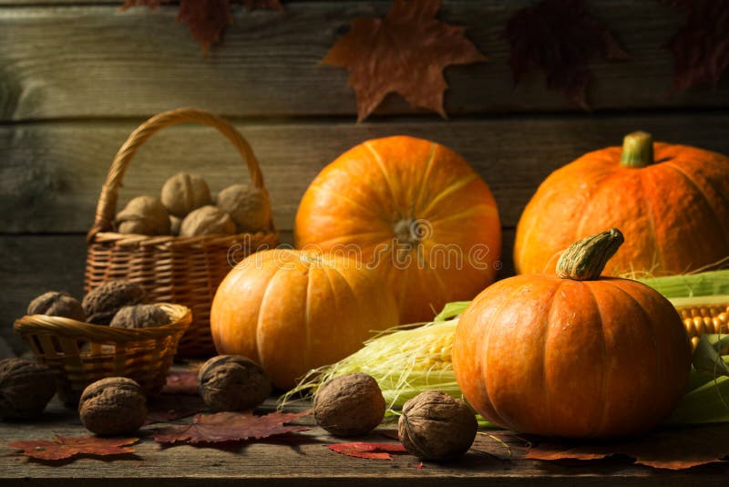 Herbststillleben mit Kürbisen, Mais, Nüsse stockfotos Herbststillleben mit Kürbisen, Mais, Nüsse stockfotos