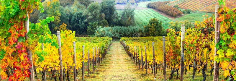 Herbstweinberglandschaft Italien, Toskana lizenzfreie stockbilder Herbstweinberglandschaft Italien, Toskana lizenzfreie stockbilder