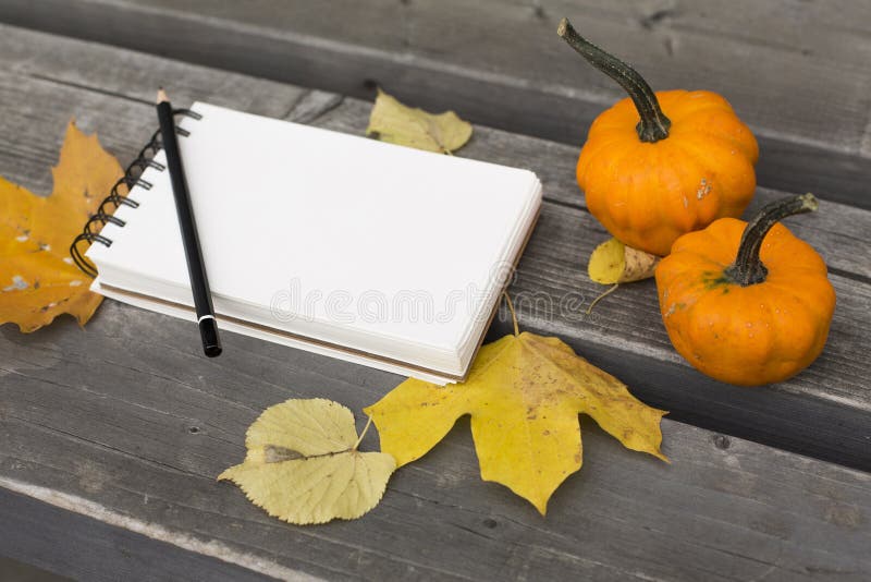 Herbstzusammensetzung im Park mit Blättern Notizbuch und Kürbis stockfoto Herbstzusammensetzung im Park mit Blättern Notizbuch und Kürbis stockfoto