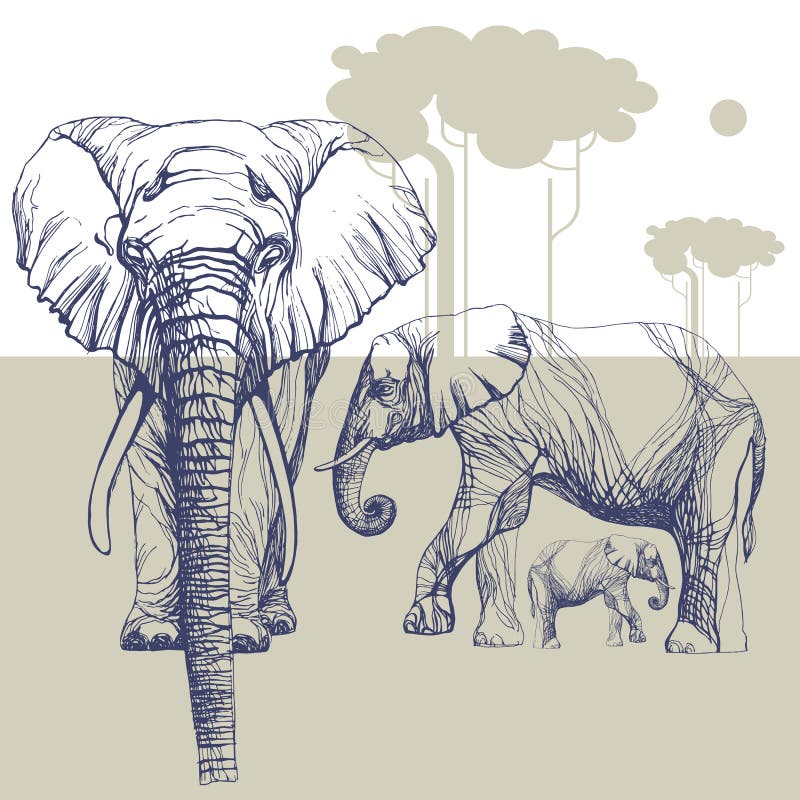 Image herds of elephants in the wild, transparent silhouettes on background of trees. Image herds of elephants in the wild, transparent silhouettes on background of trees