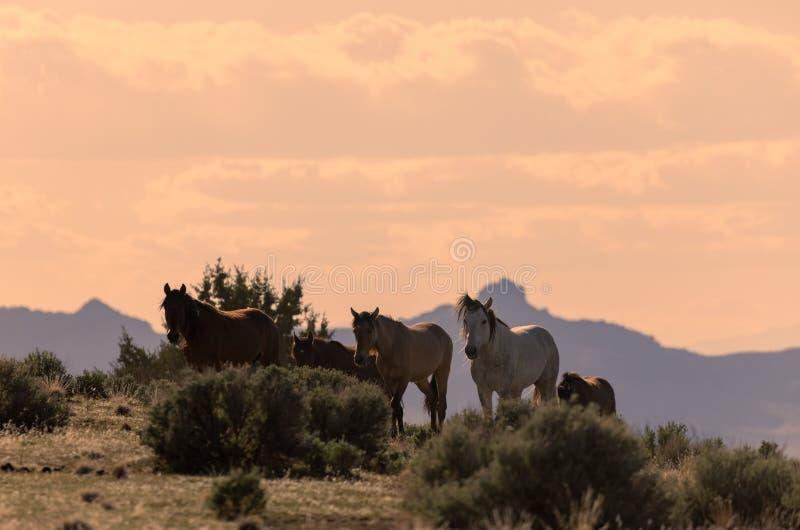 Sunset on Utah Lake stock image. Image of dusk, calm 27899171