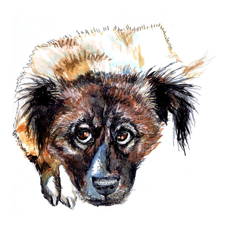 Herde Caucasian ståendebild för hund vektor illustrationer Herde Caucasian ståendebild för hund vektor illustrationer