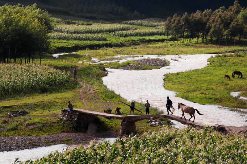 Herding boy and horse