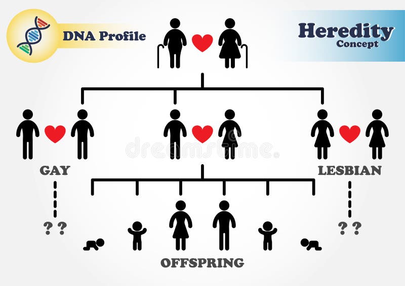 Hereditary diagram (Genetic) stock illustration Hereditary diagram (Genetic) stock illustration