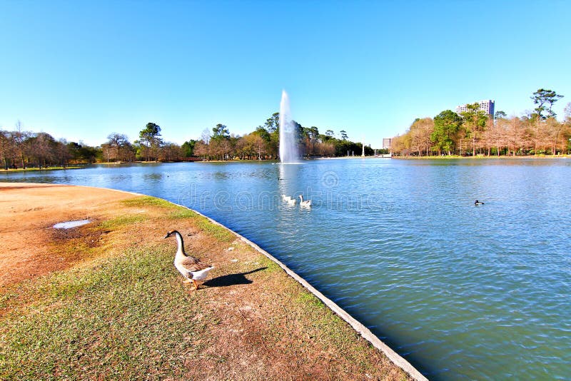 Hermann Park a Houston immagini stock Hermann Park a Houston immagini stock