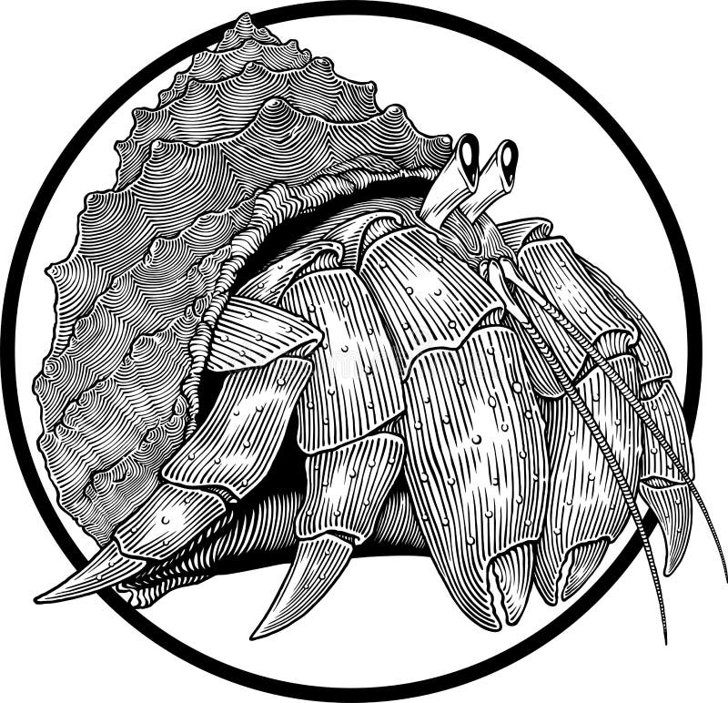 Black and white illustration of hermit crab engraving style. Circle frame can be easily removed