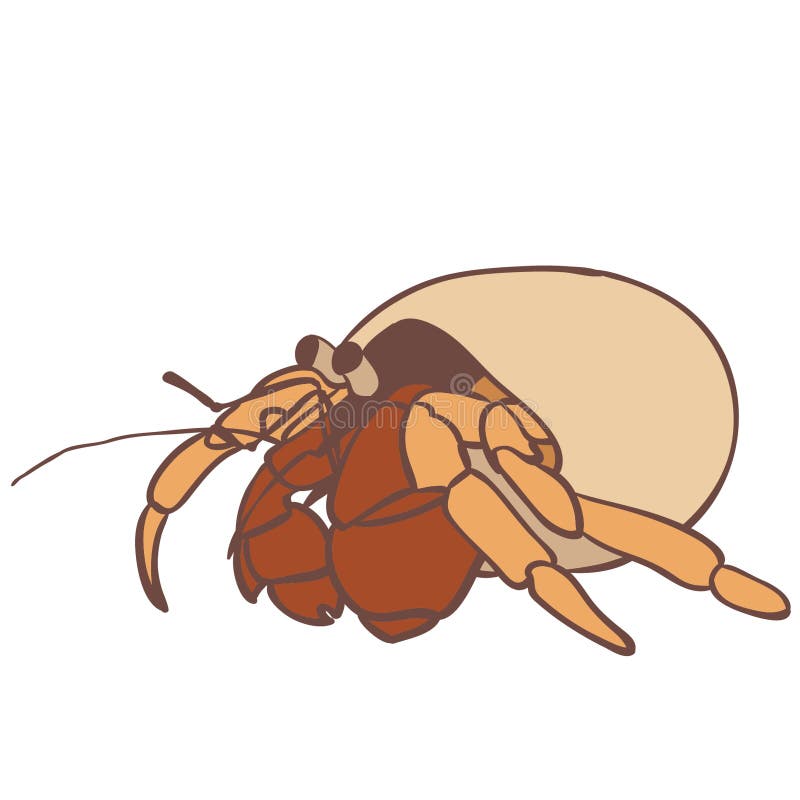 Hermit crab vector eps Hand drawn, Vector, Eps, Logo, Icon, crafteroks, silhouette Illustration for different uses.