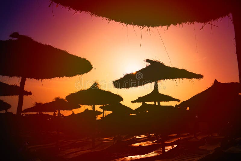 Hermosa Luz Solar Al Atardecer En La Playa Buenas Noches De Vacaciones Junto Al Océano, Espacio De Copias La Puesta De Sol Ilumin Imagen de archivo - Imagen de océano, espacio: 199706157 Hermosa Luz Solar Al Atardecer En La Playa Buenas Noches De Vacaciones Junto Al Océano, Espacio De Copias La Puesta De Sol Ilumin Imagen de archivo - Imagen de océano, espacio: 199706157