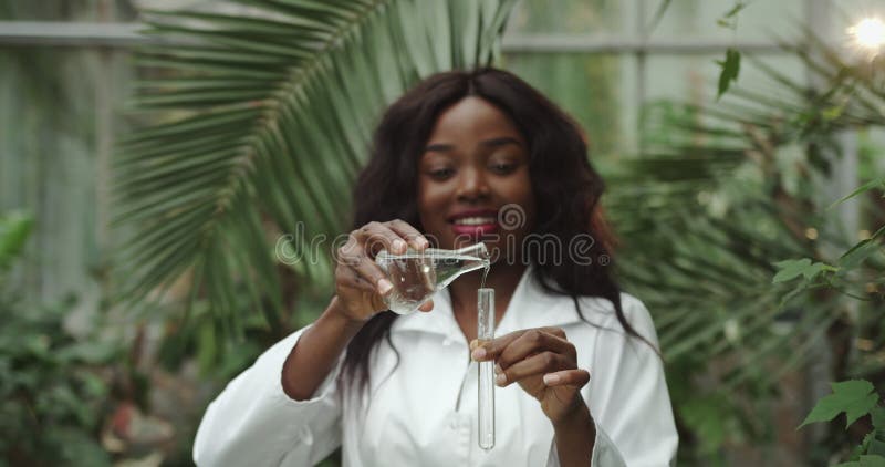 Hermosa microbióloga afroamericana investigadora bióloga con laboratorio de plántula de plantas líquidas de tubo de ensayo almacen de video