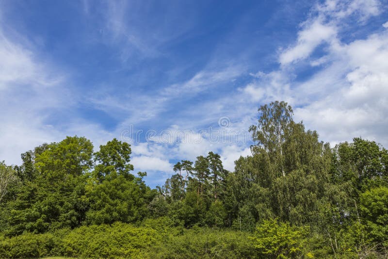 Hermosa Vista Desde La Montaña a La Naturaleza Con Vistas Al Mar Báltico.  Copas De árboles De Bosque Verde Sobre Cielo Azul Imagen de archivo -  Imagen de hoja, azul: 211117091