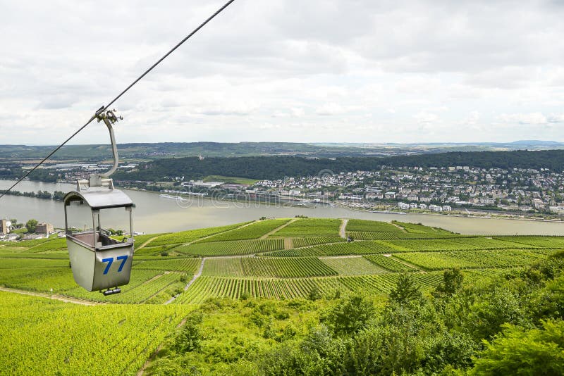 Hermosas bodegas en el verano del año en el oeste de Alemania, una carretera visible entre las filas de uvas y un teleférico imagen de archivo