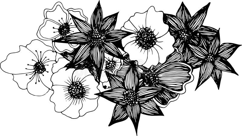 Hermosas Flores Negras Dibujadas a Mano Ilustración del Vector - Ilustración de hermoso, planta: 195619220 Hermosas Flores Negras Dibujadas a Mano Ilustración del Vector - Ilustración de hermoso, planta: 195619220