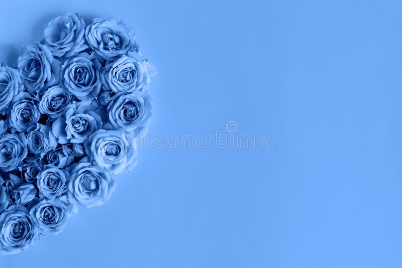 Hermosas Rosas Hechas De Corazón En Un Color Azul Clásico Sobre Un Fondo  Azul Te Amo Tarjeta De Felicitación Día De San Valentín Imagen de archivo -  Imagen de regalo, flor: 169609407