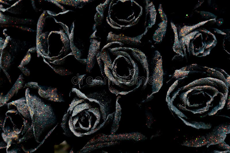Hermosas Rosas Negras Fondo De Flores Naturales Imagen de archivo - Imagen de fondo, ramo: 197401067 Hermosas Rosas Negras Fondo De Flores Naturales Imagen de archivo - Imagen de fondo, ramo: 197401067