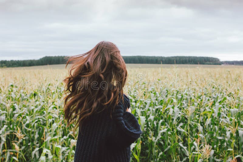 Hermoso cabello largo y despreocupado asiático en suéter de punto por detrás en el campo de maÃz del otoño. Sensibilidad al c fotografía de archivo libre de regalías