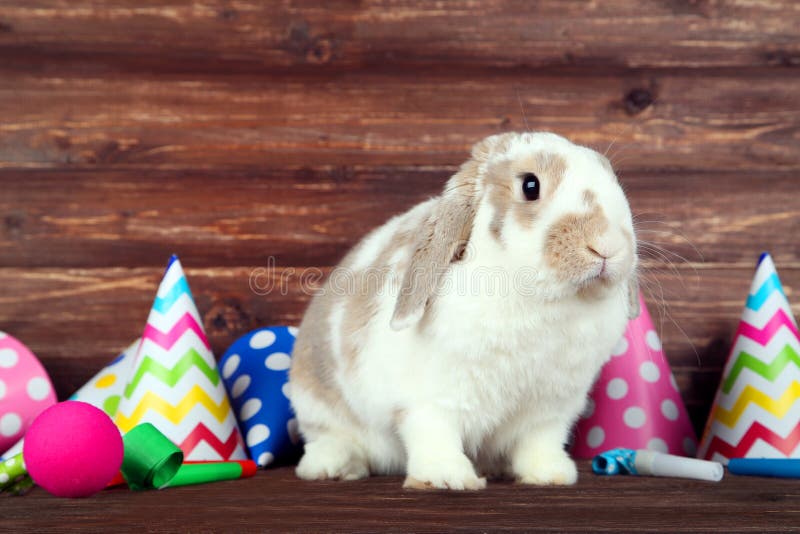 Un Hermoso Conejo Corre Por El Bosque Y Mastica Hojas De Pasto Y Hojas