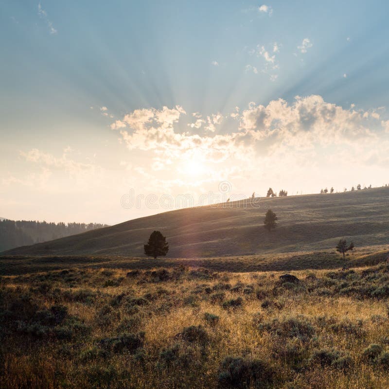 Hermoso paisaje de un paisaje en Yellowstone con montañas y el amanecer en el fondo imagen de archivo libre de regalías Hermoso paisaje de un paisaje en Yellowstone con montañas y el amanecer en el fondo imagen de archivo libre de regalías