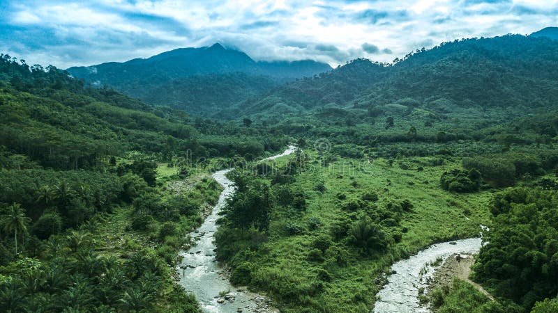 Hermoso Paisaje Natural De Bosque Lluvioso Y Río En El Sudeste De Asia Bosque Verde Tropical Con Montaña En Fondo Imagen de archivo - Imagen de terreno, prado: 217146995 Hermoso Paisaje Natural De Bosque Lluvioso Y Río En El Sudeste De Asia Bosque Verde Tropical Con Montaña En Fondo Imagen de archivo - Imagen de terreno, prado: 217146995