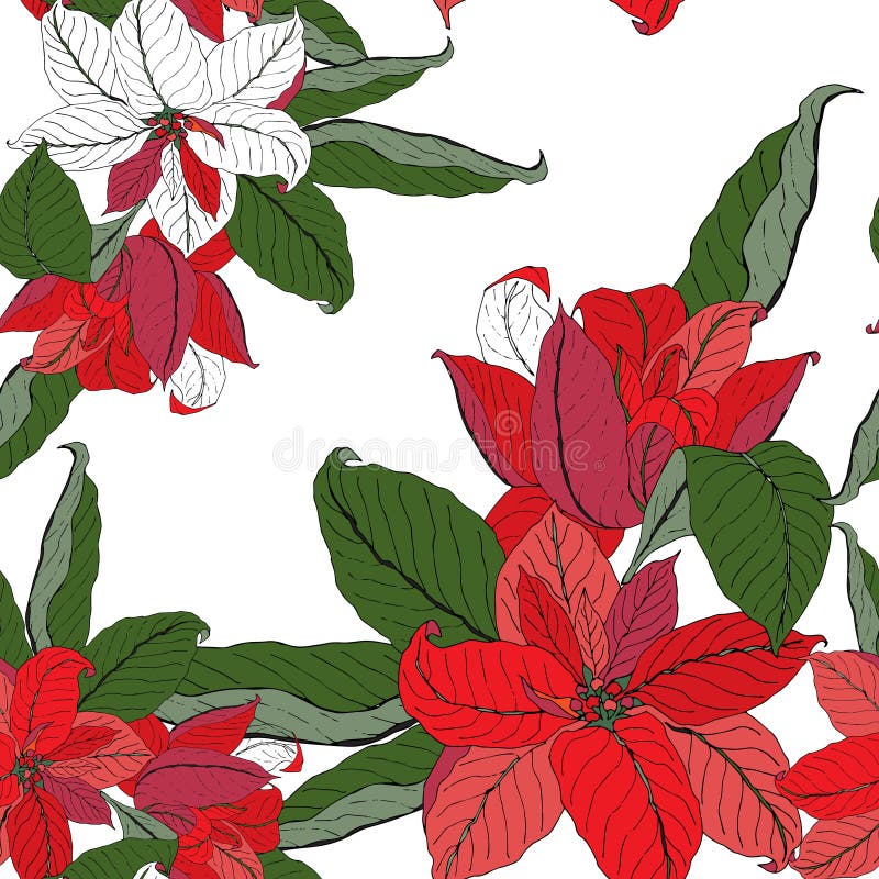 Hermoso Patrón Sin Costuras Vacaciones. Flores De Navidad Nochebuena  Ilustración del Vector - Ilustración de hojas, flor: 213723976