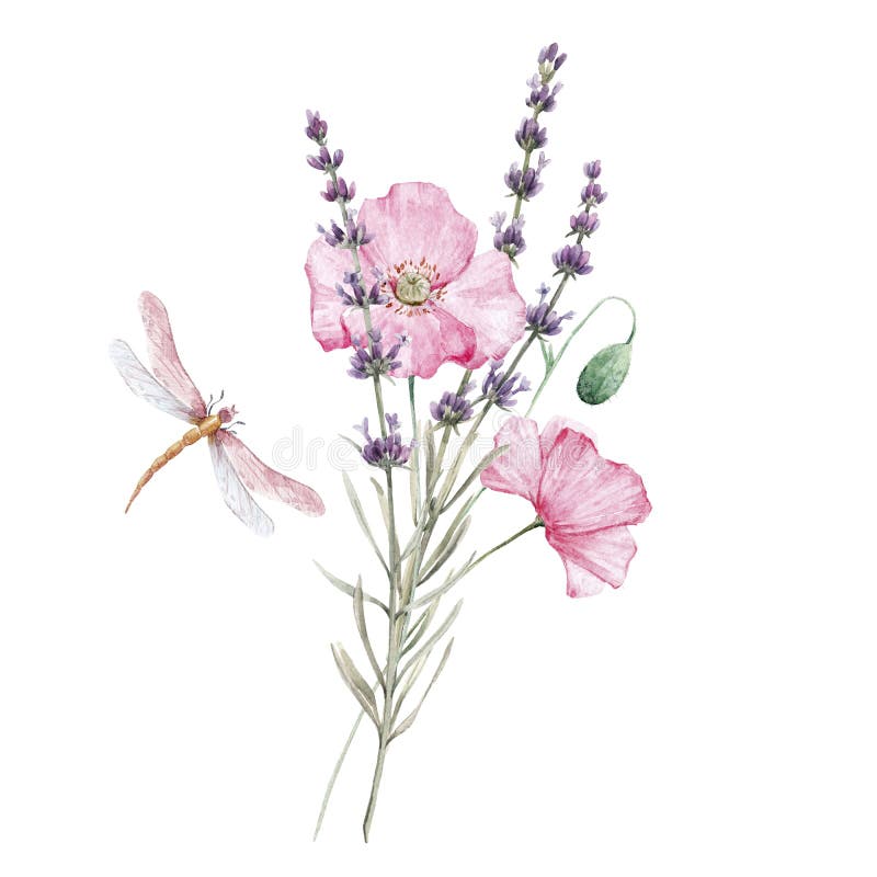 Hermoso ramo florido de color agua con lavanda aislada y flores de amapola rosa Ilustración de las existencias ilustración del vector
