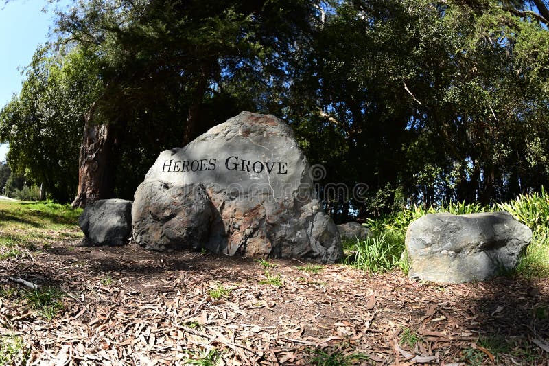 The Heroes Grove in Golden Gate Park is fifteen peaceful acres of Coastal Redwoods honoring the brave, fallen men and woman of San Francisco during World War 1. Along with the trees is a triangular rock with the names of the fallen inscribed, which is the `Gold Star Mothers Rock`.For the centennial anniversary of the grove, a granite rock entrance sign, on the East side along JFK Drive, was finally added, as were the additional Armistice memorial rocks.
As seen 9 February 2022. The Heroes Grove in Golden Gate Park is fifteen peaceful acres of Coastal Redwoods honoring the brave, fallen men and woman of San Francisco during World War 1. Along with the trees is a triangular rock with the names of the fallen inscribed, which is the `Gold Star Mothers Rock`.For the centennial anniversary of the grove, a granite rock entrance sign, on the East side along JFK Drive, was finally added, as were the additional Armistice memorial rocks.
As seen 9 February 2022.