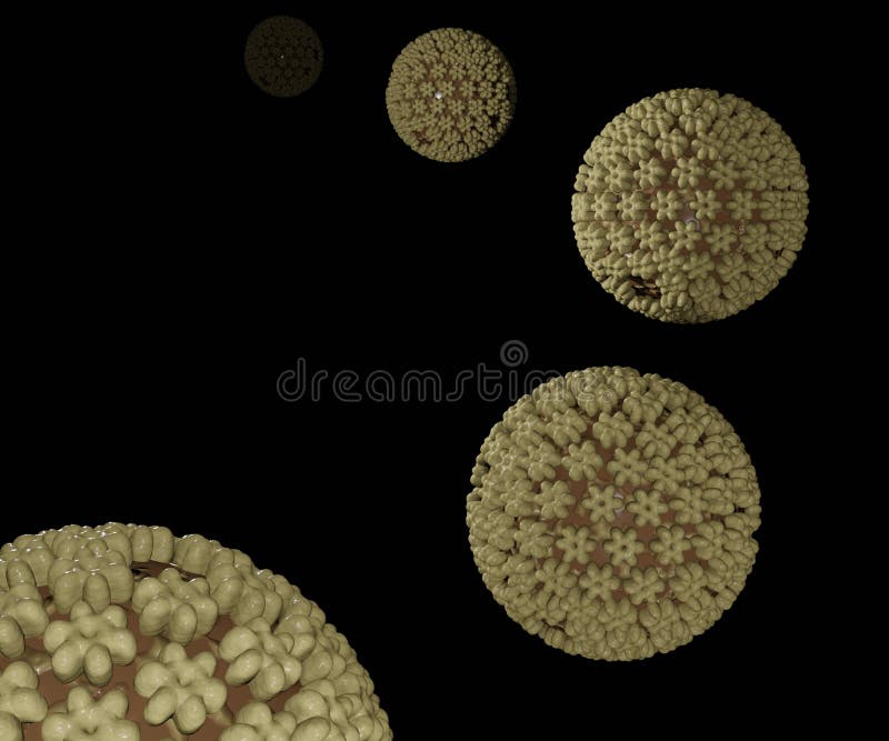 Herpes simplex-virus 1 och 2 hsv1 och hsv2 royaltyfri illustrationer