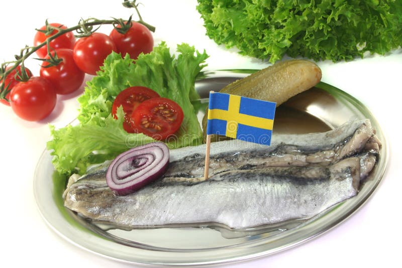 Herring stock photo. Image of onion, rings, fish, calories 14739112