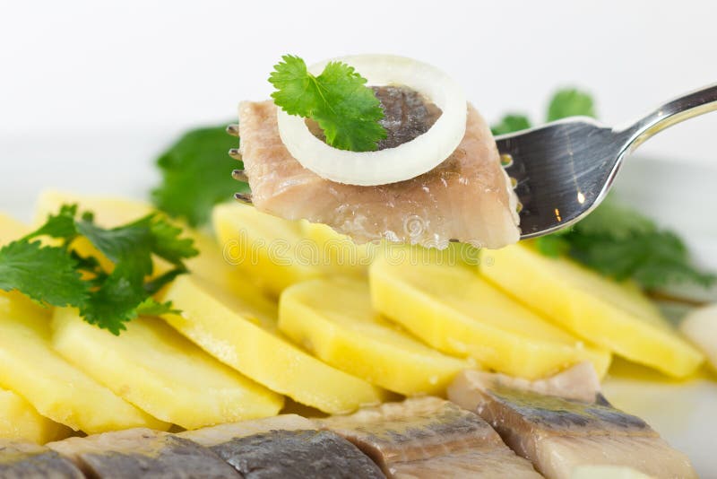 Herring Fish Fillets with Potato and Onion Stock Image Image of