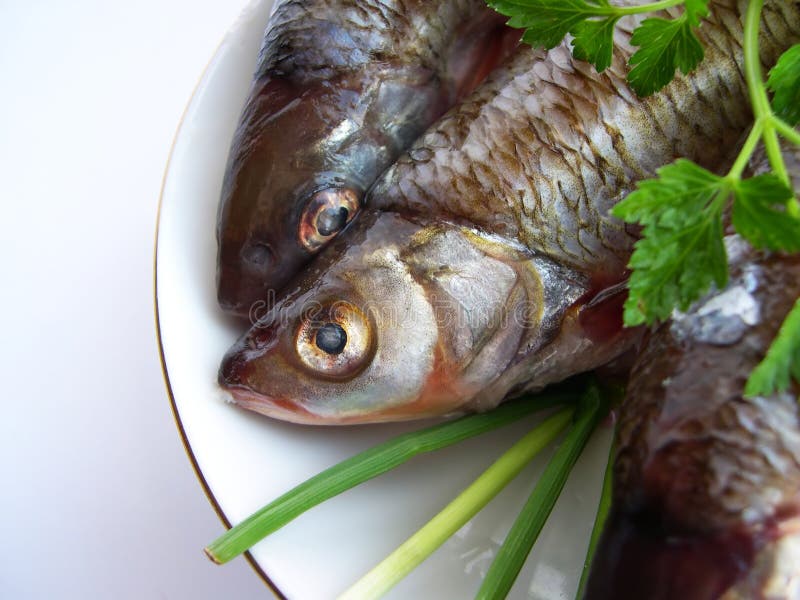 Herring on a plate