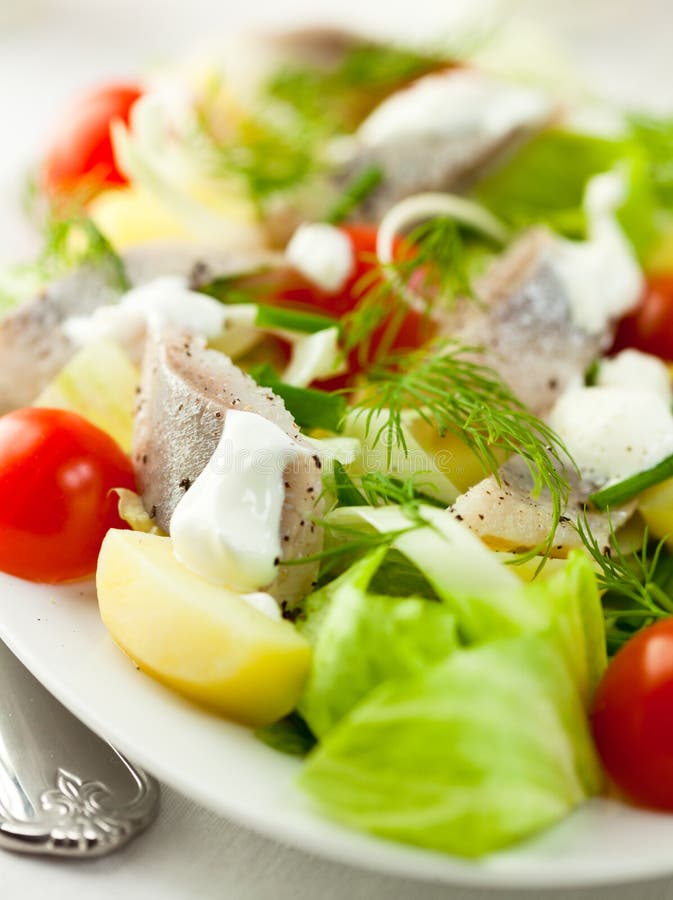 Herring salad stock photo. Image of seafood, appetizing 42162368
