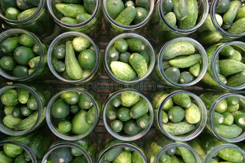 Herstellung der Essiggurken stockbild Herstellung der Essiggurken stockbild