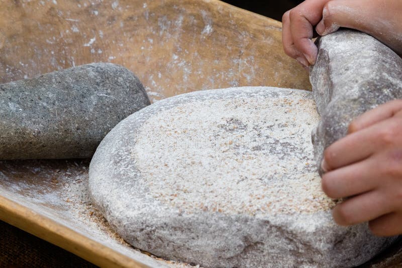 Making flour with stones in a traditional way for the Neolithic era. Making flour with stones in a traditional way for the Neolithic era.