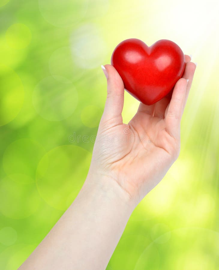 Herz in der Hand stockfoto. Bild von geschenk, medizin - 41767574