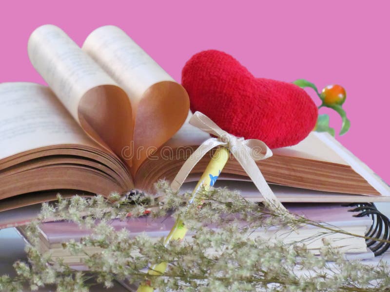 Herz geformt gemacht von den Seiten des alten Buches mit rotem Herzen des Bookmarks und von den Trockenblumen lokalisiert auf ros lizenzfreies stockbild Herz geformt gemacht von den Seiten des alten Buches mit rotem Herzen des Bookmarks und von den Trockenblumen lokalisiert auf ros lizenzfreies stockbild