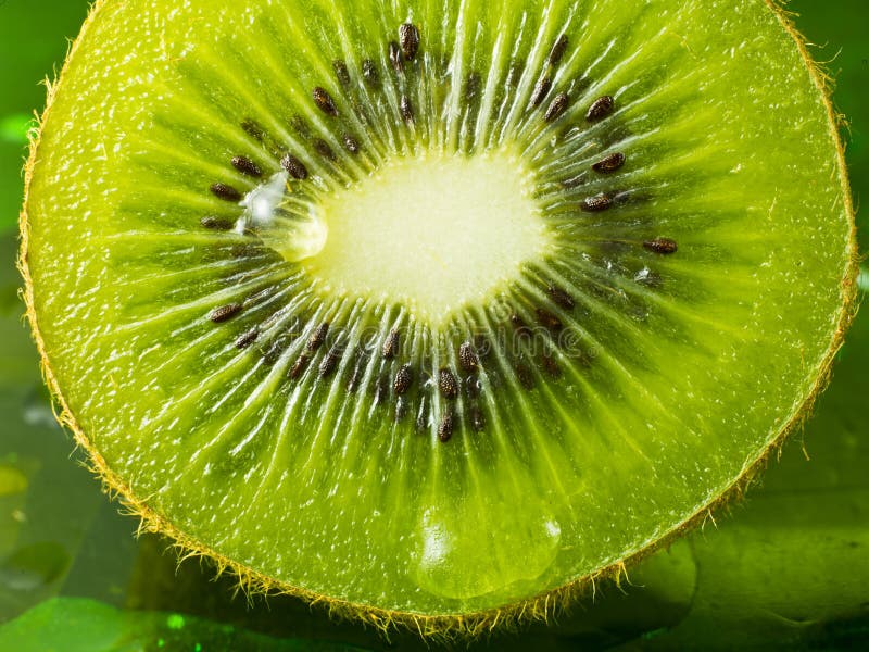 Het aardige detail van het kiwifruit stock fotografie
