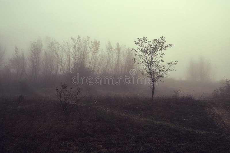 Het achtervolgen van mistig landschap royalty-vrije stock foto Het achtervolgen van mistig landschap royalty-vrije stock foto