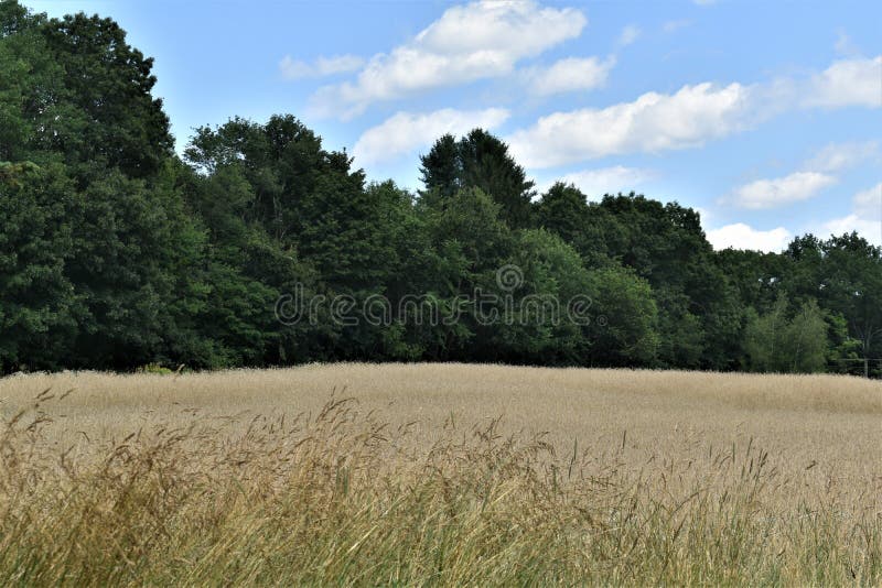 Het Algemene Gebied in de Zomer, Stad van Groton, de Provincie van Middlesex, Massachusetts, Verenigde Staten royalty-vrije stock afbeelding Het Algemene Gebied in de Zomer, Stad van Groton, de Provincie van Middlesex, Massachusetts, Verenigde Staten royalty-vrije stock afbeelding