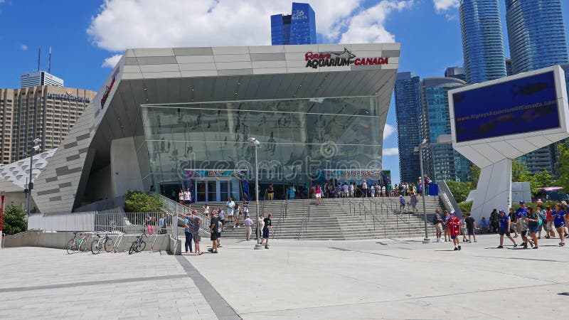 Het Aquarium van Ripley in Toronto Van de binnenstad wordt gevestigd naast de CN Toren en Rogers Centre 7-25-2018 royalty-vrije stock fotografie Het Aquarium van Ripley in Toronto Van de binnenstad wordt gevestigd naast de CN Toren en Rogers Centre 7-25-2018 royalty-vrije stock fotografie